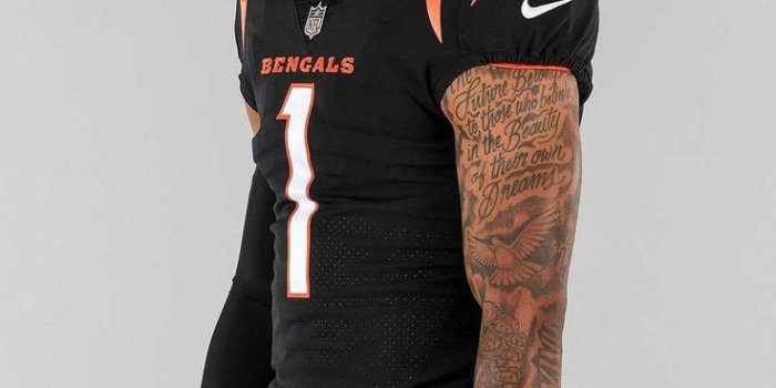 736x1472 Ja'Marr Chase Wallpaper - iXpap | Nfl football players, Bengals football,  Cincinnati bengals football