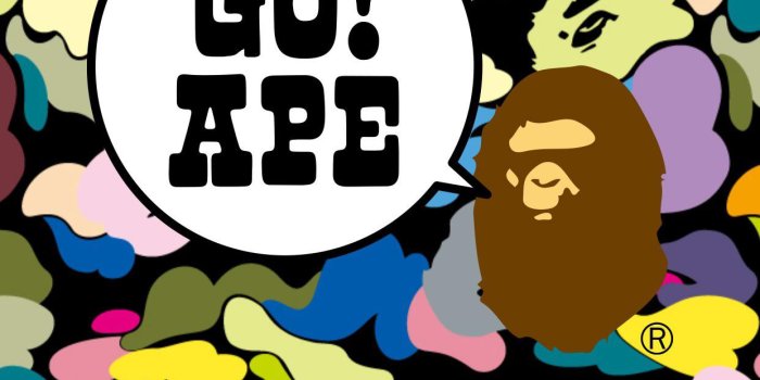 1242x2208 Does anyone know where I can get a image of this bape multi camo without  the writing want to make it into wallpaper : r/bapeheads