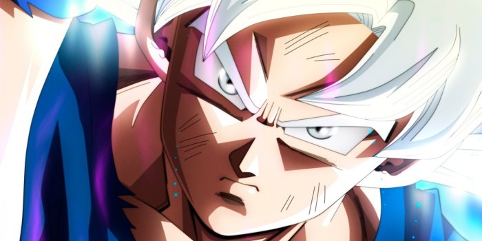 1440x1080 Ultra Instinct Goku Dragon Ball Super Ultra HD Desktop Background Wallpaper  for : Widescreen & UltraWide Desktop & Laptop : Multi Display, Dual Monitor  : Tablet : Smartphone