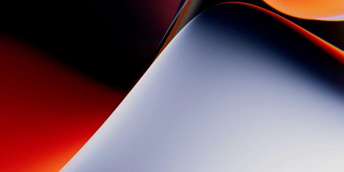 1240x2772 Ios 15 Wallpapers Download | MobCup