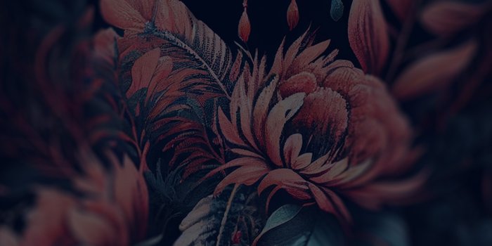 1183x2560 Dreamcatcher Boho Aesthetic Wallpaper - Boho Wallpapers iPhone