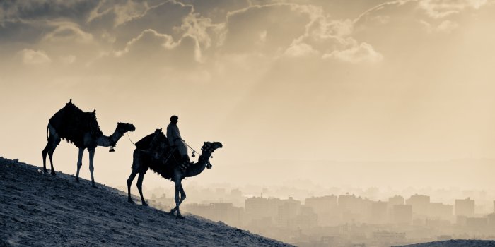 2560x1600 Arab People Camels Wallpaper,HD World Wallpapers,4k Wallpapers,Images, Backgrounds,Photos and Pictures
