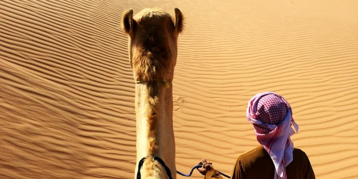 1000x1333 30k+ Arabian Desert Pictures | Download Free Images on Unsplash