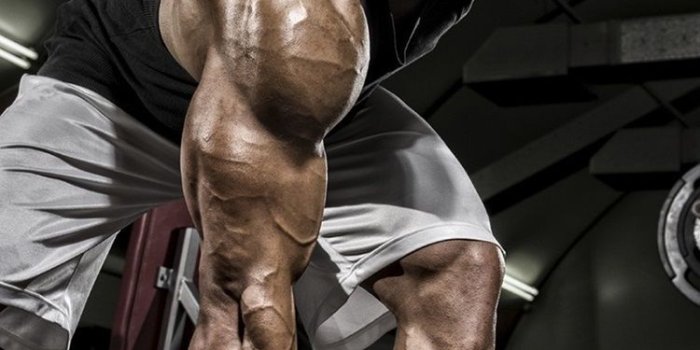 750x1334 Dumbbell iPhone Wallpapers - Top Free Dumbbell iPhone Backgrounds -  WallpaperAccess | Bodybuilding, Gym art, Gym wallpaper