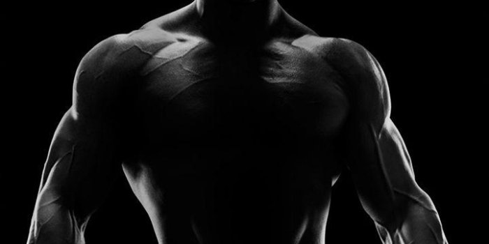 720x1280 Aesthetic Bodybuilders HD Photoshoot Wallpapers