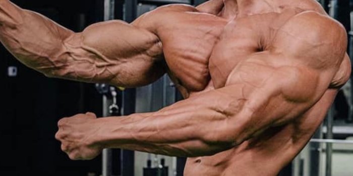 1080x1920 Aesthetic Bodybuilder Wallpapers - Top 25 Best Aesthetic Bodybuilder  Wallpapers Download