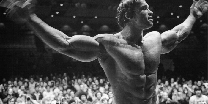 1920x1080 Body-building fitness muscle muscles weight lifting Bodybuilding (55)  wallpaper | 1920x1080 | 415575 | WallpaperUP