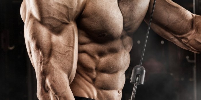 1080x1920 Bodybuilding Phone Wallpaper