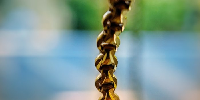 1000x1333 Golden Chain Pictures | Download Free Images on Unsplash