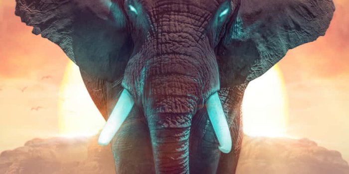 800x1280 Download Cute Elephant Dream Fantasy World Digital Art Wallpaper |  Wallpapers.com