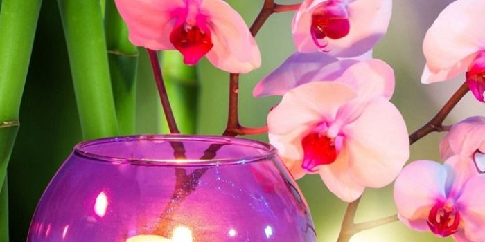 720x1280 Candles Wallpapers | Candles wallpaper, Candles, Zen wallpaper