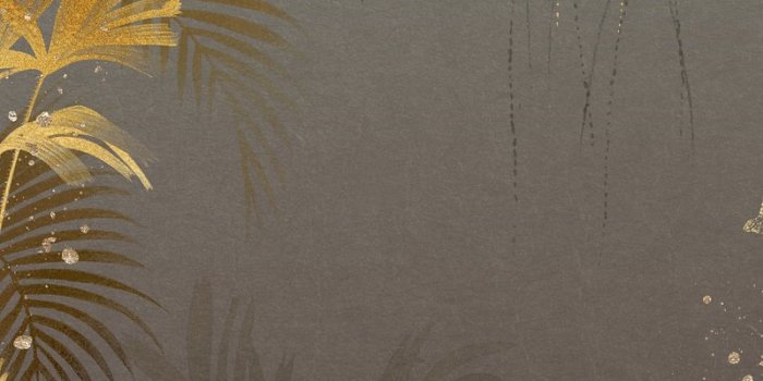 800x1422 Elephant Wallpaper Images | Free Photos, PNG Stickers, Wallpapers &  Backgrounds - rawpixel