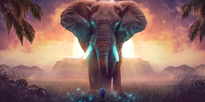 1024x768 Wallpaper the elephant of dreamland, wild animals, fantasy desktop wallpaper,  hd image, picture, background, 9b97ac | wallpapersmug