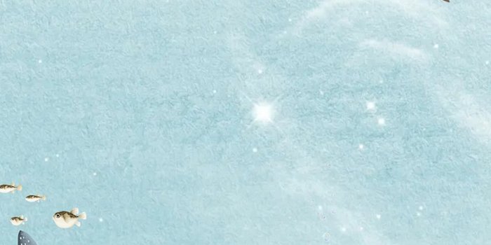 800x1422 Shark Wallpaper Images | Free Photos, PNG Stickers, Wallpapers & Backgrounds  - rawpixel