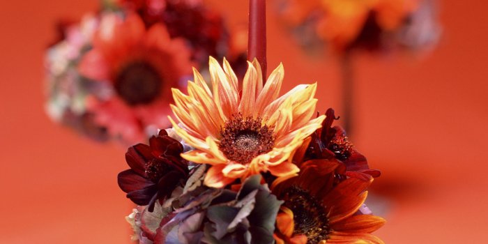 1080x1920 Red iPhone 6S Plus Wallpaper with Candle​ | Gallery Yopriceville -  High-Quality Free Images and Transparent PNG Clipart