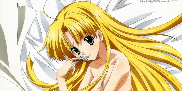 4064x2520 Picture High School DxD Anime Girls 4064x2520