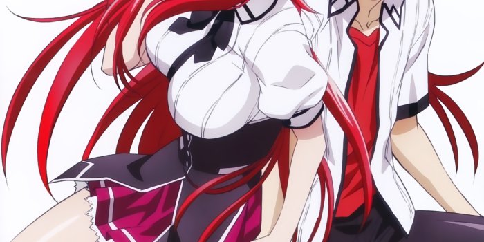 3514x4795 Highschool DxD New, Mobile Wallpaper - Zerochan Anime Image Board