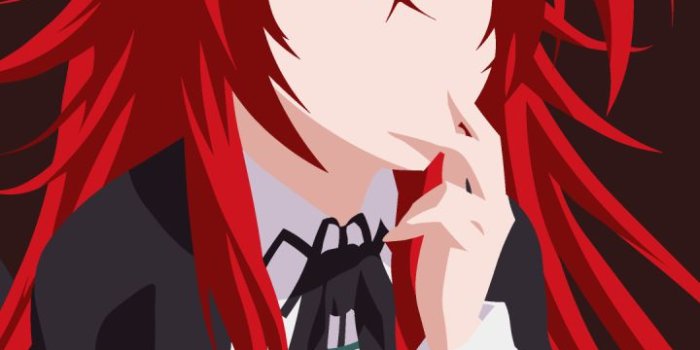 720x1440 Mobile wallpaper: Anime, High School Dxd, Rias Gremory, 1355631 download  the picture for free.