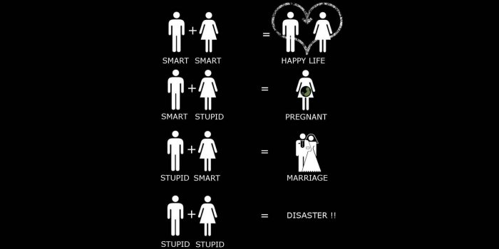 1920x1200 100+] Stupid Wallpapers | Wallpapers.com