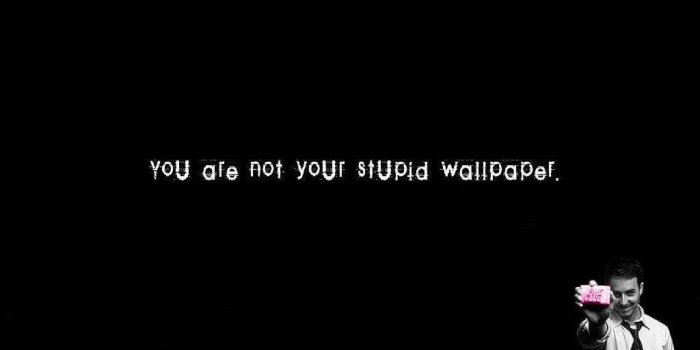 1024x768 You are not your stupid wallpaper : r/wallpapers