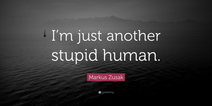 1600x900 Markus Zusak Quote: “I'm just another stupid human.”