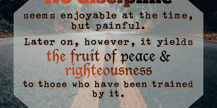 1629x2896 Download Biblical Quote About Discipline Wallpaper | Wallpapers.com