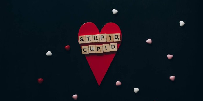 1600x1068 100+] Stupid Wallpapers | Wallpapers.com