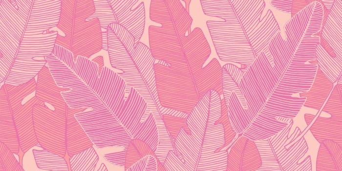 3868x2419 Jill Hennessy Mathieu on Phone Wallpapers | Pink wallpaper pc, Laptop  wallpaper, Pink wallpaper laptop