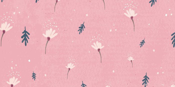 1920x1064 Download Pink Flower Laptop Wallpaper | Wallpapers.com