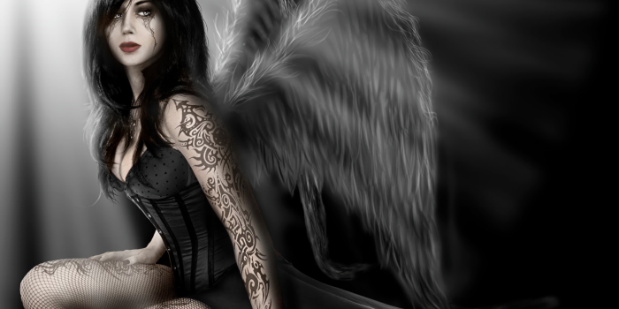 1920x1440 Dark Angel & Beast