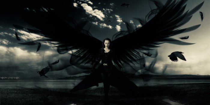 1280x768 Dark Angel Ultra HD Desktop Background Wallpaper for 4K UHD TV : Widescreen  & UltraWide Desktop & Laptop : Tablet : Smartphone