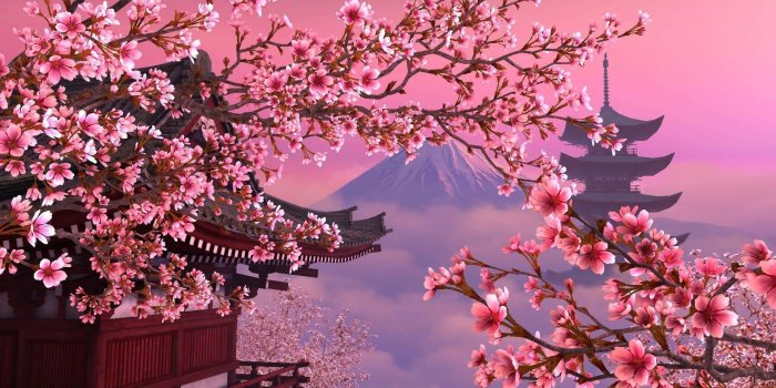 1920x1080 100+] Sakura Pc Wallpapers | Wallpapers.com