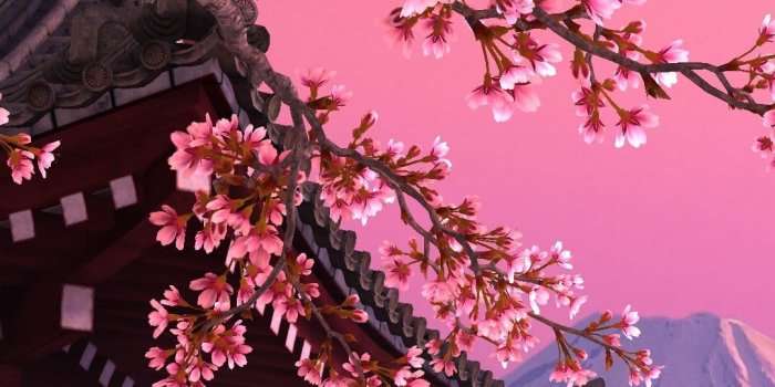 1080x2160 Japanese Sakura Tree Mobile Wallpaper : r/iphonewallpapers