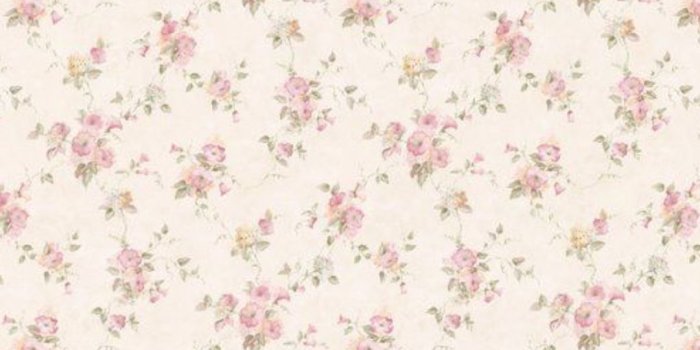 1080x1920 Check out SleepyOchre's Shuffles #coquette #wallpaper