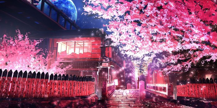 1919x1080 pink leafed tree #anime sakura (tree) #road #720P #wallpaper #hdwallpaper  #desktop | Pink wallpaper anime, Sakura tree, Anime cherry blossom