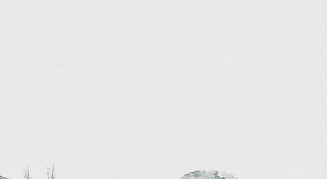 640x1385 Group B Wallpapers + Playlist : r/rally