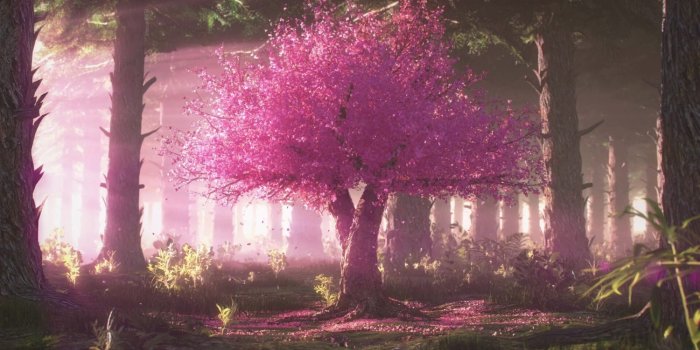 1500x844 Cherry Blossom Tree Live Wallpaper - WallpaperWaifu