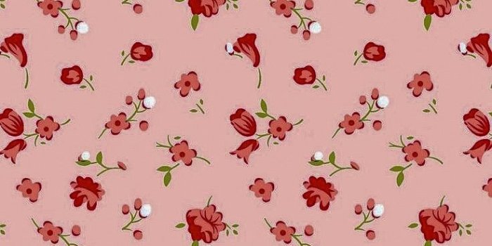 736x1308 Aesthetic Coquette Wallpapers