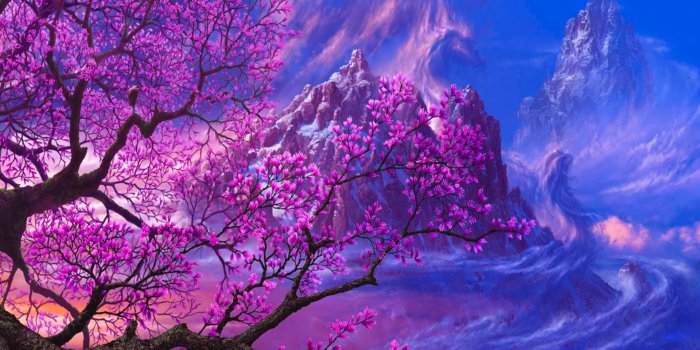 1920x1080 Aesthetic Computer Sakura Wallpapers