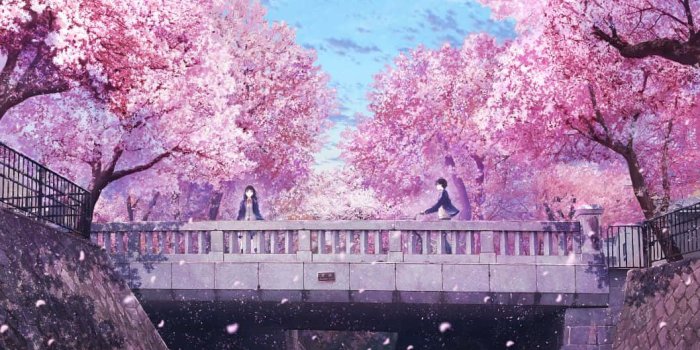 1057x746 100+] Cherry Blossom Tree Backgrounds | Wallpapers.com