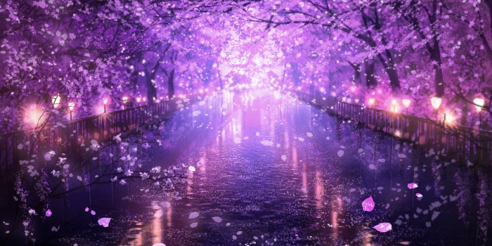 3449x2384 Anime Sakura Tree Wallpapers