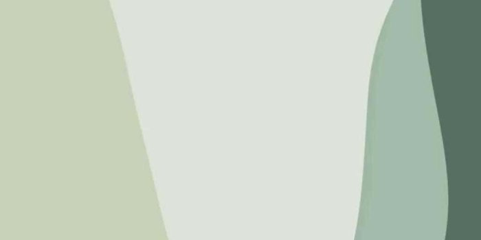 1080x1920 100+] Cute Sage Green Wallpapers | Wallpapers.com