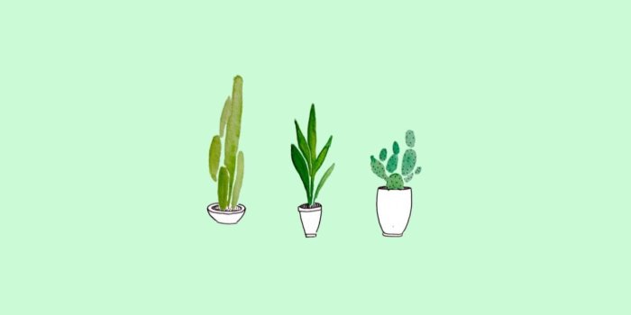 1242x2208 Cute Green Aesthetic Wallpapers