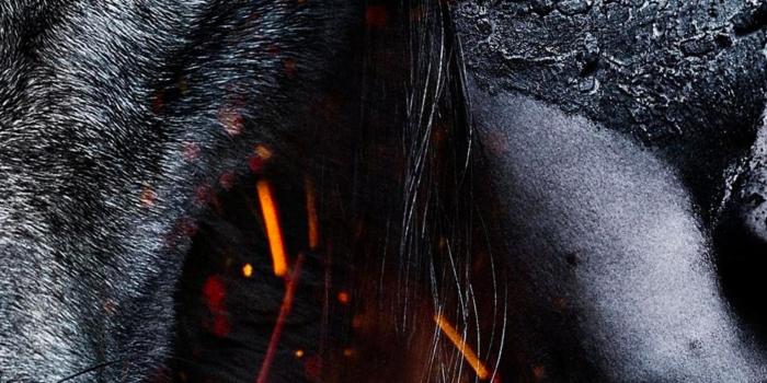 1536x2732 Alpha Wallpapers