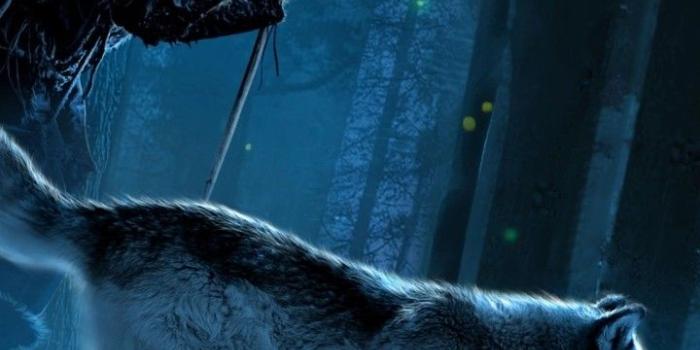 720x1600 Pin on Wallpapers