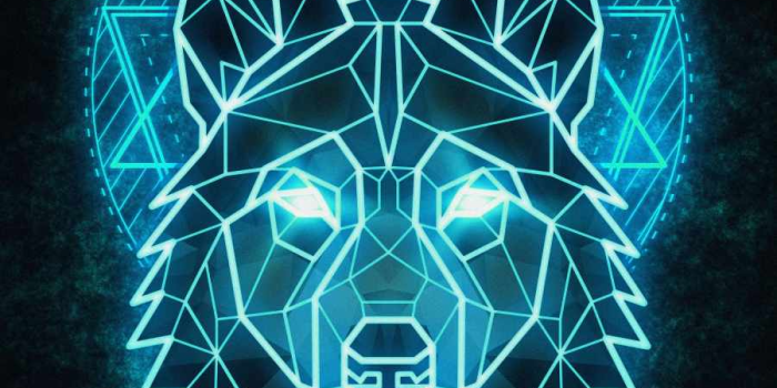 900x1600 Alpha Wolf Art iPhone Wallpaper - iPhone Wallpapers : iPhone Wallpapers |  Artistas del grafiti, Fondos de pantalla de iphone, Diseños del fondo de  pantalla