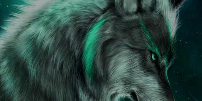 719x1280 Alpha Wallpaper | WhatsPaper