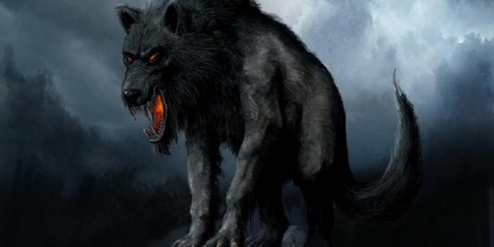 3840x2160 Fantasy Creature 4k Ultra HD Wallpaper