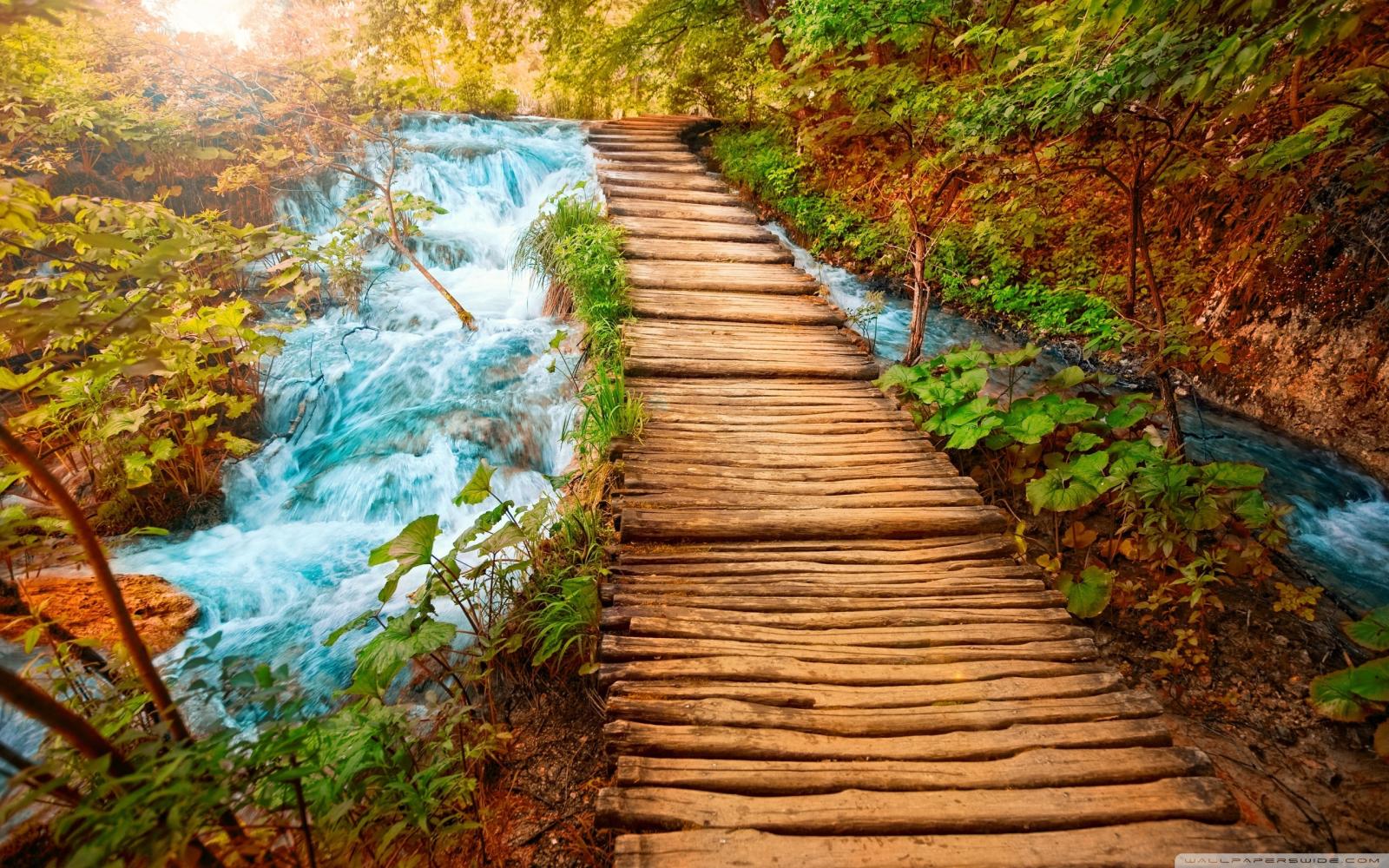 2560x1600 Path Ultra HD Desktop Background Wallpaper for 4K UHD TV : Multi Display,  Dual Monitor : Tablet : Smartphone