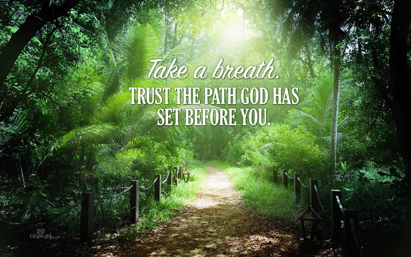 1440x900 Trust God's Path Desktop Wallpaper - Free Backgrounds